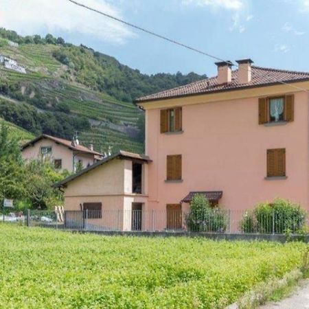 Hotel Joy Valtellina per amanti degli animali Tresenda Esterno foto